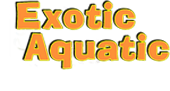 Exotic Aquatic